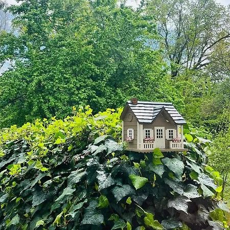Cozy Private Home, 1 Acre Orchards Near Apple Hill プラサービル エクステリア 写真