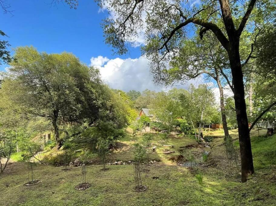 Cozy Private Home, 1 Acre Orchards Near Apple Hill プラサービル エクステリア 写真