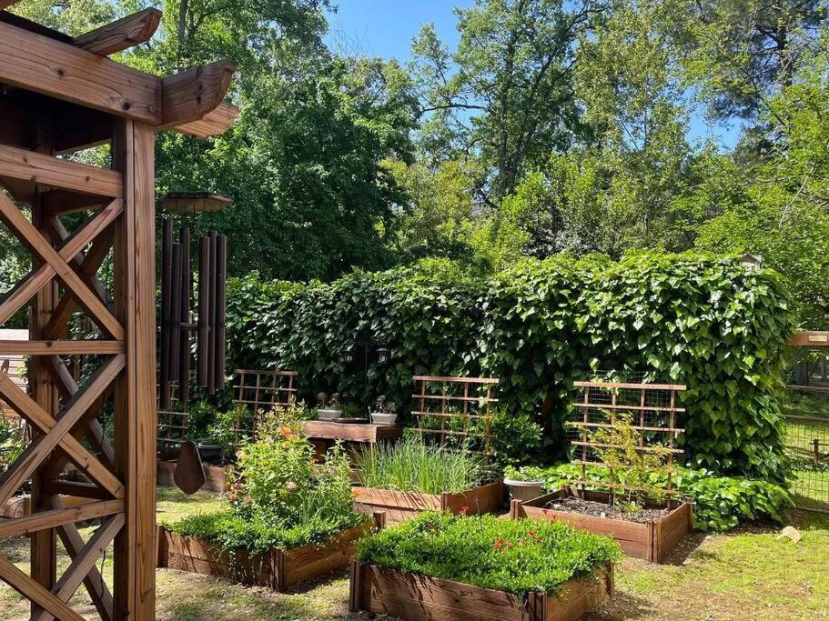 Cozy Private Home, 1 Acre Orchards Near Apple Hill プラサービル エクステリア 写真