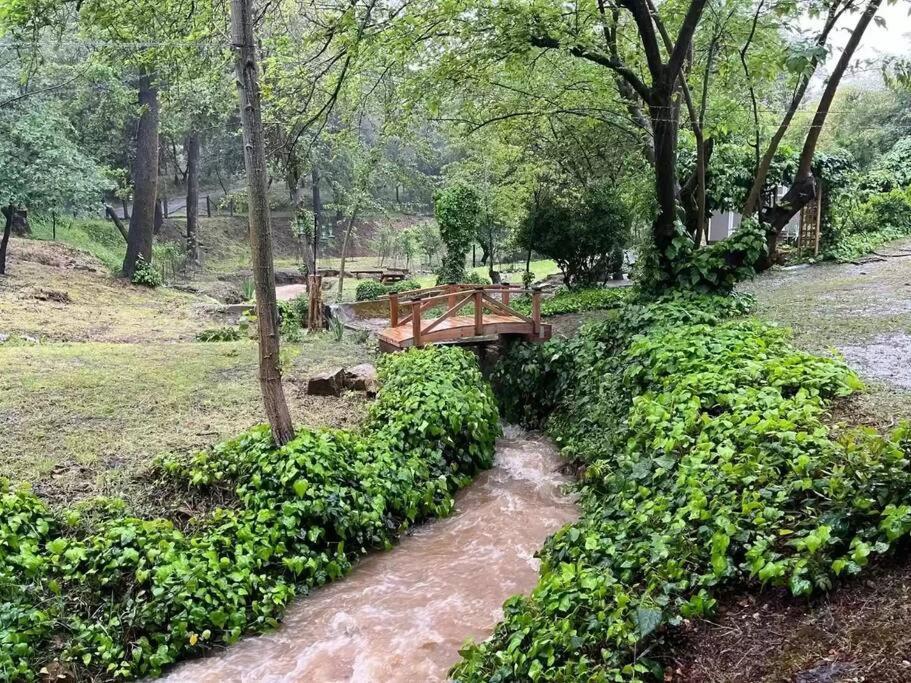 Cozy Private Home, 1 Acre Orchards Near Apple Hill プラサービル エクステリア 写真