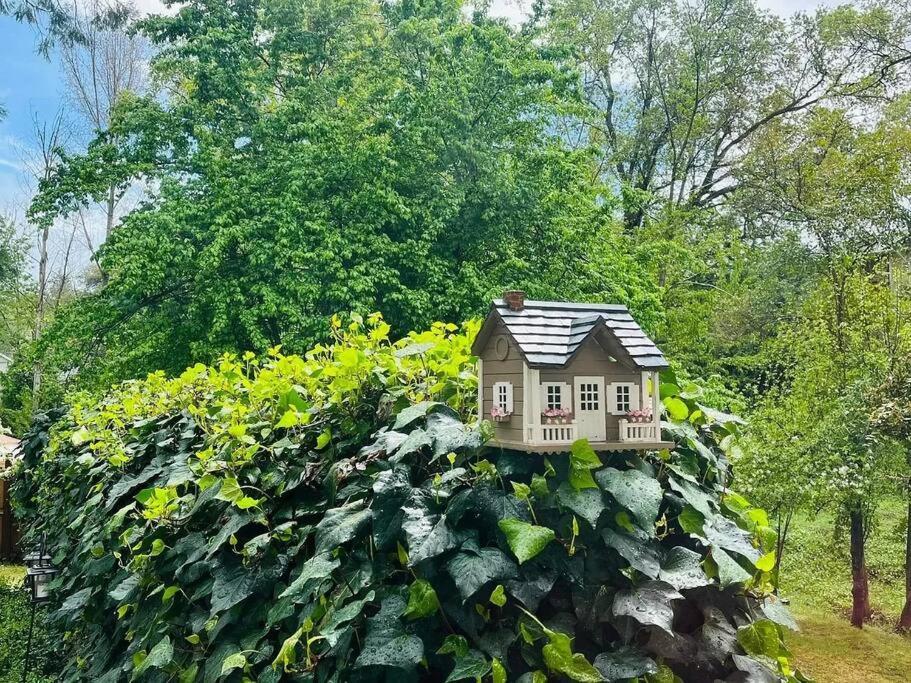 Cozy Private Home, 1 Acre Orchards Near Apple Hill プラサービル エクステリア 写真