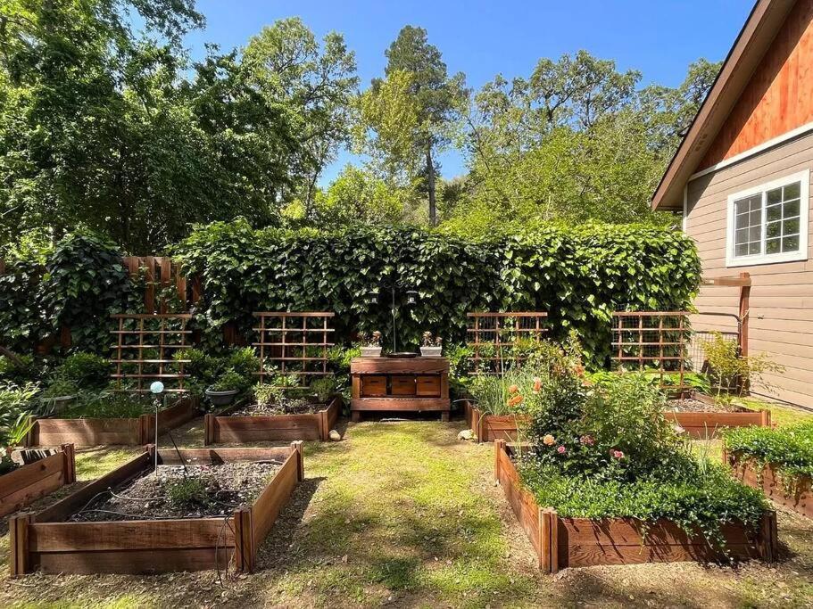 Cozy Private Home, 1 Acre Orchards Near Apple Hill プラサービル エクステリア 写真